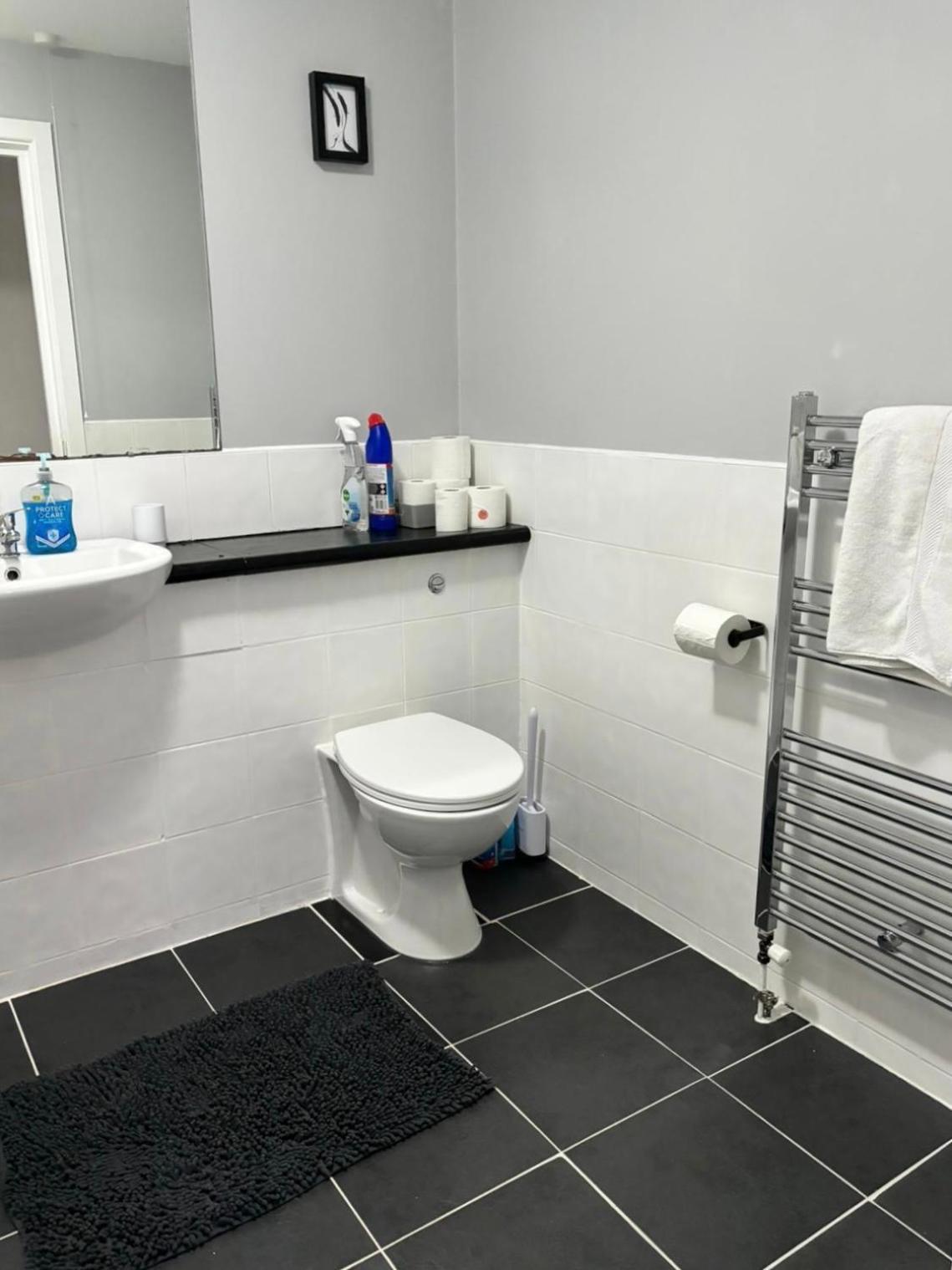 2 Bedroom Ground Floor Apartment Belfast Kültér fotó